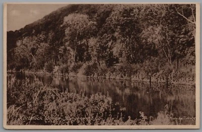 £5 • Buy Hartslock Woods Pangbourne Berkshire England Postcard
