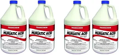 Sunbelt Chemicals 1 Gallon Muriatic Acid (Pack Of 4) • $87.99