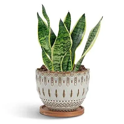 $26.12 • Buy Vintage Succulent Planter Large Plant Pot Ceramic Bohemian Planter Flower Pot...
