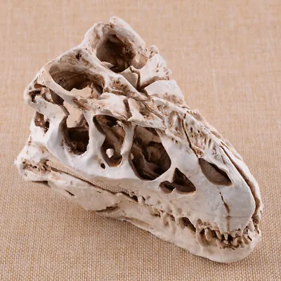 Retro Tyrannosaurus T-Rex Skull Resin Fossil Model Dinosaur Collectibles Replica • £21.43