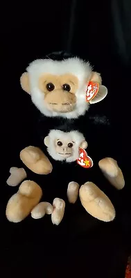 Ty Beanie Baby Mooch The Spider Monkey 1998/ 1999 - With Beanie Buddy • $10