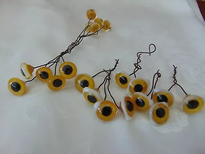 £6 • Buy 5 PAIRS ANTIQUE 19th CENTURY WIRED YELLOW GLASS EYES DOLL BEAR TAXIDERMY DECOY