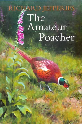 JEFFERIES RICHARD ENGLISH COUNTRYSIDE & POACHING BOOK THE AMATEUR POACHER New • £11.45