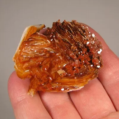 2.1  Red VANADINITE Crystals On BARITE - Mibladen Morocco • $0.99