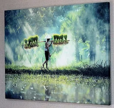 £27.44 • Buy Stunning Japanese Zen Garden Canvas Picture Wall Art