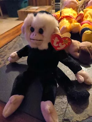 TY BEANIE BABY RARE RETIRED MOOCH MONKEY W/TAG ERRORS & HOLOGRAM TUSH TAG • $650