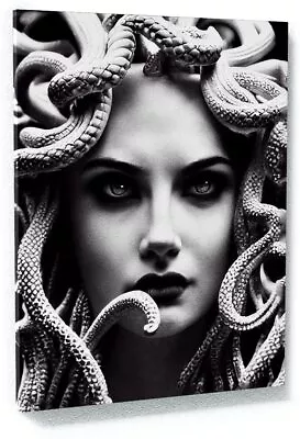 Canvas Medusa Wall Art Greek Mythology Canvas Art Home Decor Wall Art Print Post • $59.99