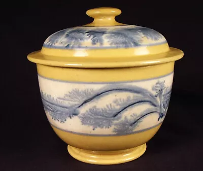 RARE 1800s BLUE SEAWEED SUGAR BOWL With LID MOCHAWARE MOCHA YELLOW WARE MINT • $1150