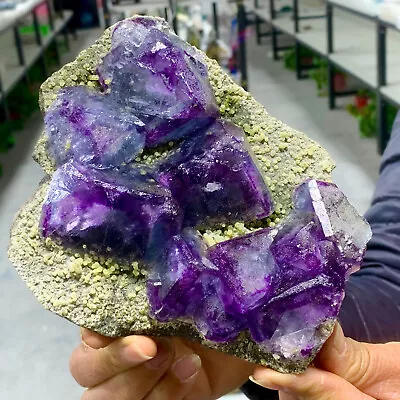 2.03LB Natural Transparent Purple Cubic Fluorite Crystal Cluster Mineral Sample • $813.75