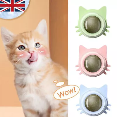 4X Pet Catnip Ball Cats Wall Toys Healthy Natural Cleaning Teeth For Cats Lick • £6.99