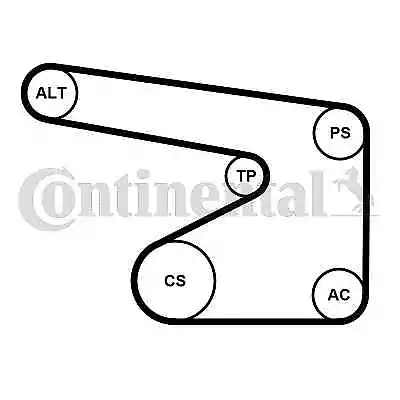 5pk1355k1 Continental Ctam V-ribbed Belt Set For Opel Suzuki Vauxhall • $207.70
