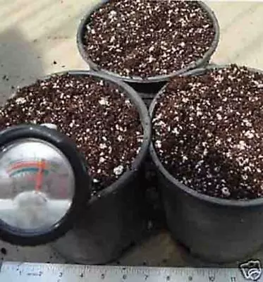 Peat Moss & Perlite Mixed Soil For Miracle Fruit Plants • $12.99