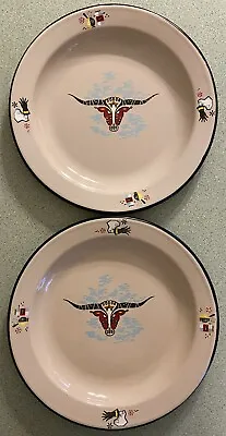 2 Monterrey Western Ware Enamelware Dinner Plates - Made In Mexico Vintage • $35