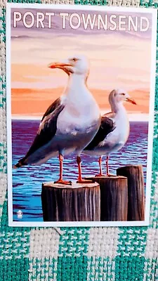 Beautiful Post Card Seagulls Port Townsend Washington • £7.59