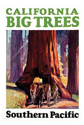 Southern Pacific - California Big Trees - Vintage Railroad Travel Poster • $24.99