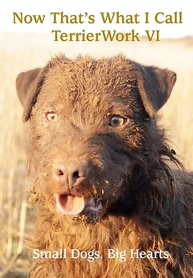 Now That's What I Call Terrierwork 6 • £20