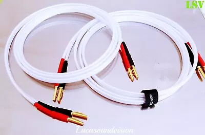 QED XT25 SPEAKER CABLES 2 X 3m (A Pair) Terminated • $80.09