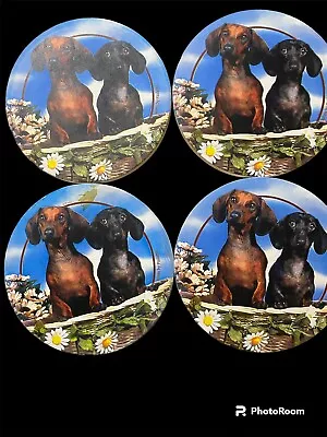 DACHSHUND Dog Puppy Stone COASTERS  Art Pets By Paulette • $11.99