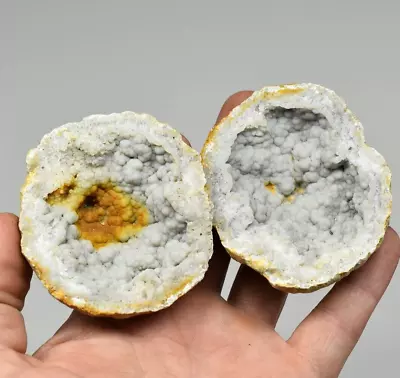 Chalcedony Geode - Clark Co. Missouri • $22