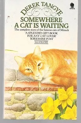 Somewhere A Cat Is Waiting By Derek Tangye • £2.72