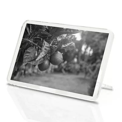Classic Magnet With Stand - BW - Citrus Fruits Lime Tree Fruit #37618 • £3.99