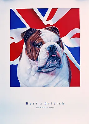 Bulldog British English Union Jack Flag Patriotic Dog Art Print • £9.50