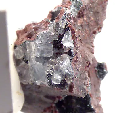 £9.75 • Buy Fluorite On Specularite Hematite Florence Mine Cumbria UK Mineral Specimen