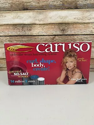 Caruso Pro Molecular Steam Conditioner Hairsetter 14 Hair Curlers Rollers Foam • $31.99