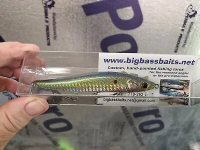 CUSTOM PAINTED MEGABASS StyleJERKBAIT FISHING LURE HOLOGRAPHIC FALL SHAD  COLOR • $14.97