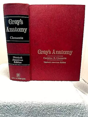 GRAY'S ANATOMY Clemente Human Body Medical Nursing Book Illustrated 30th Edition • $24.29