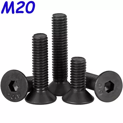 M20 - 2.5 High Tensile 10.9 Alloy Steel Flat Head Hex Socket Cap Screws Bolts • $17.31