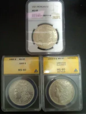 THREE / 3 /MS60 Morgan Dollar Lot / NGC & ANACS/ 1883-o18891921 FREE Shipping • $170