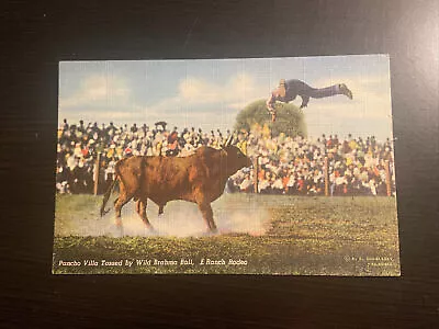 Unposted LINEN Rodeo Postcard--Pancho Villa Tossed Wild Brahma Bull Doubleday • $1.65