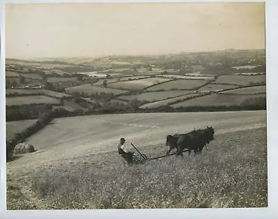 £10 • Buy CWW2 UK Farming Press Photo #3 - Ploughing With Horse 