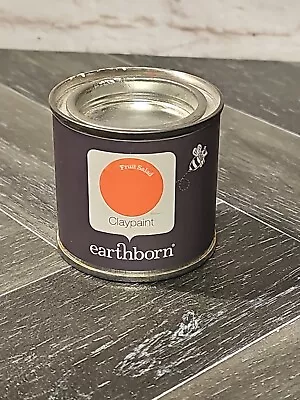 Earthborn Claypaint Fruitsalad 100ml TESTER POT #M • £8.99