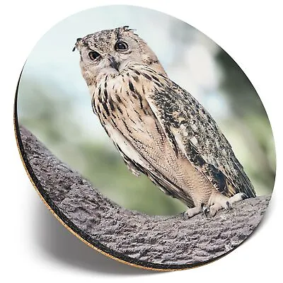 £3.99 • Buy Round Single Coaster  - Wild Owl Bird Nature Wildlife  #46438