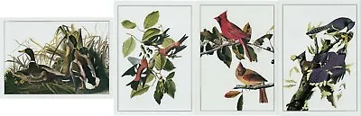 $8 • Buy 4 Small Audubon Lithographs-Mallards-White Winged Crossbill-Cardinal-Blue Jay