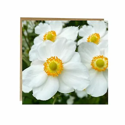 White Japanese Anemone Greeting Card • £3.95