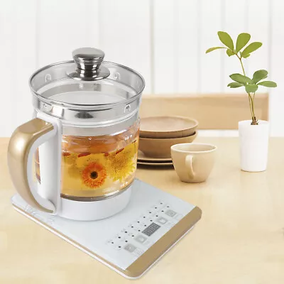 Electric Kettle Automatic Health Preserving Pot Portable Mini Boiling Cooker • $38