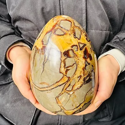 11.11LB Natural Dragon Septarian Geodetic Survey Quartz Crystal Egg Healing5050g • $0.99