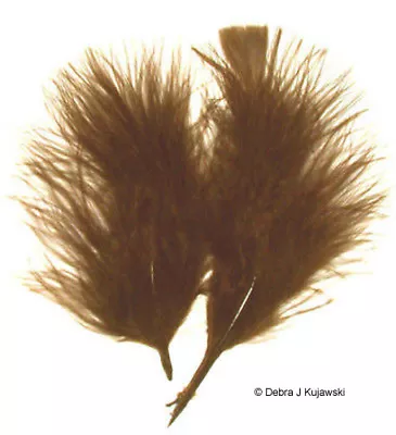 3-8  Feathers Marabou Fluffy 1/2 Oz (15 Grams) 30 Colors Approx 70 Per Bag • $6.30