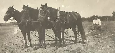 Antique Vtg RPPC Photo Horse Team Drawn Farm Field Plow Man Farmer Smoking #46 • $9.99