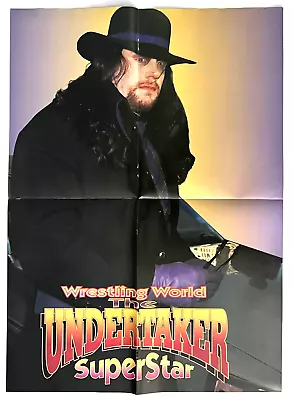 UNDERTAKER 15 X 20.75 Double Sided Wwf Wcw Wrestling Poster RIC FLAIR • $7.49