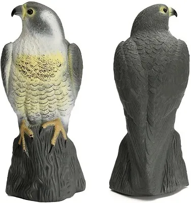 Falcon Decoy Bird Deterrant Garden Pest Bird Cat Repeller Pond Scarer Decoration • £10.90