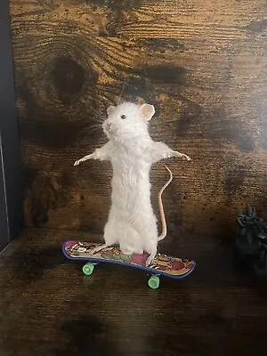 Taxidermy Skateboarding Mouse Gifts Funny Unusual Oddities Unusual Made To Order • £45
