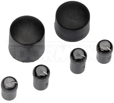 Dorman 76849 Radio Knob Assortment Fits GM 16195409 16195410 16195412 • $17.90