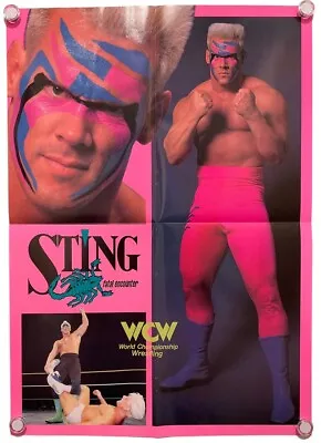 Sting Poster WCW AEW WWF WWE Japanese Wrestling Magazine Appendix 36.2×51.1cm • $100