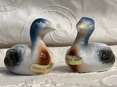 Vintage Duck Salt And Pepper Shakers Souvenir Of Iowa Waterfowl Ceramic • $7