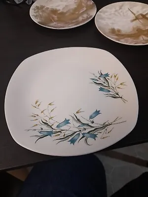 Staffordshire Stylecraft Cake Plate Midwinter • £4