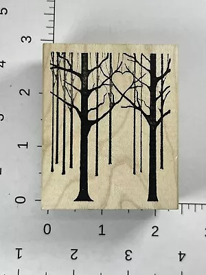 Memory Box In The Woods E1903 • $5.99